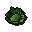 Cabbage