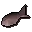 Herring